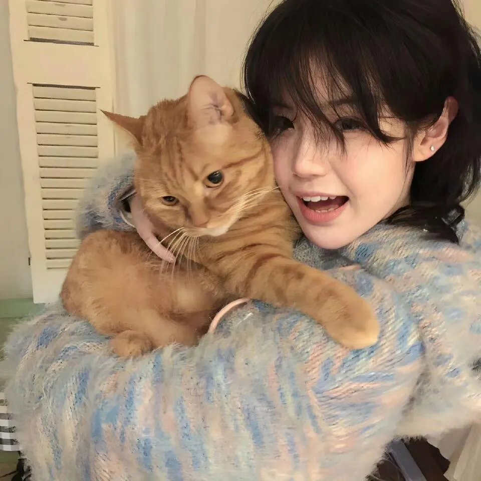 摄氏零度·春光再现